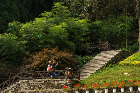 坪坝营景区