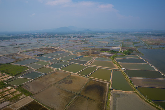 盐场 海水养殖场