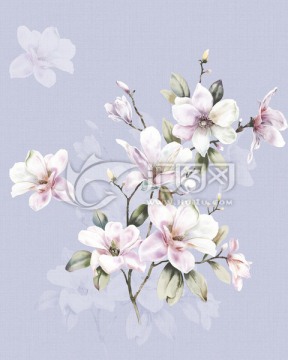 蘭花