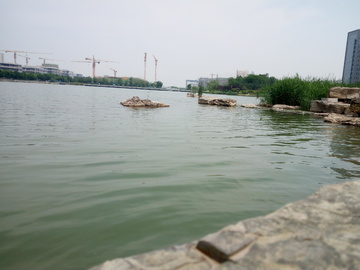 水面