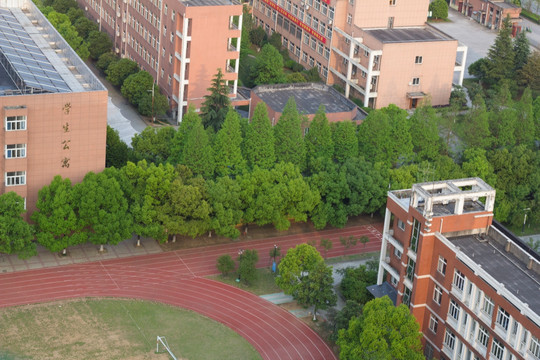 学校 小学