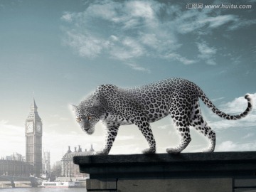 伦敦的豹子