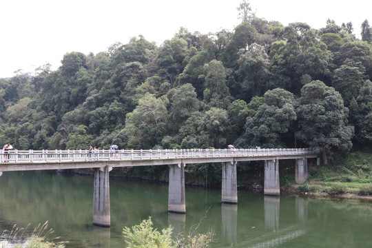 江西婺源汪口景区