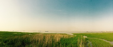 大运河 河流 水草