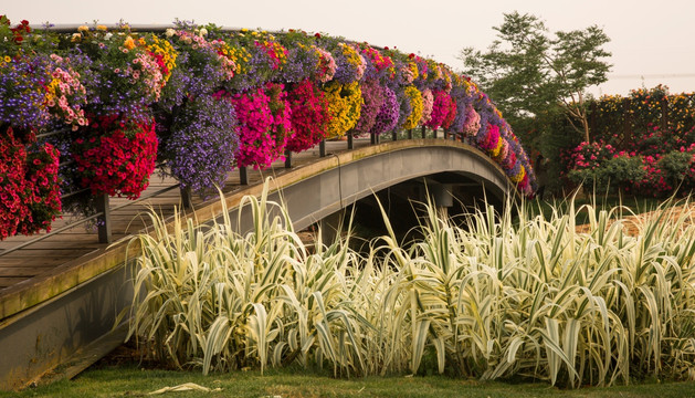 花 花桥 木桥 公园