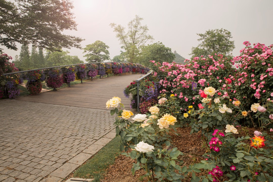 花 花桥 木桥 公园