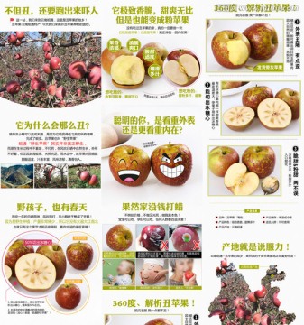 丑蘋果詳情頁(yè)模板
