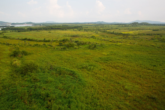 水库 草坪 荒山青草