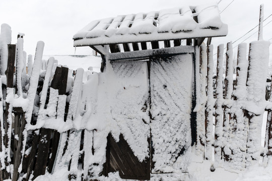 五月雪