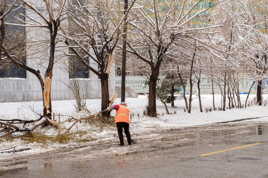 五月雪