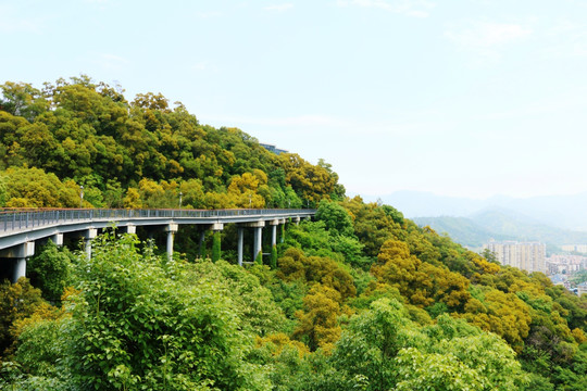 金鸡山公园