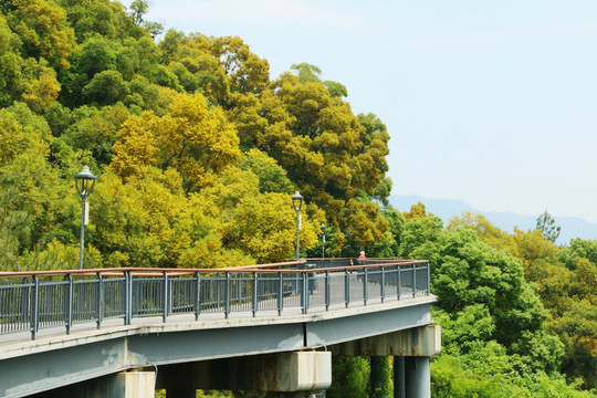 金鸡山公园