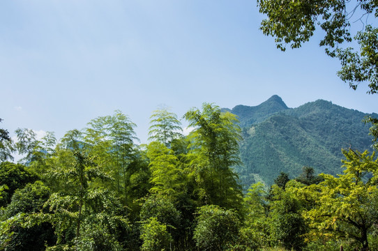 山景风光