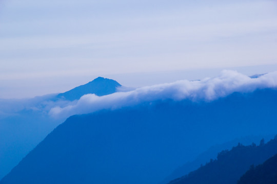 四姑娘山森林公园