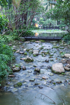 水景 景观 园林 绿化