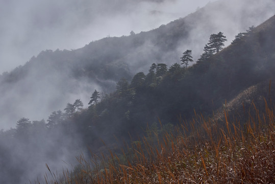 武功山