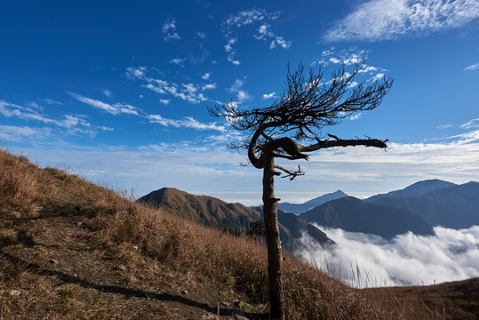 武功山