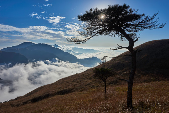 武功山