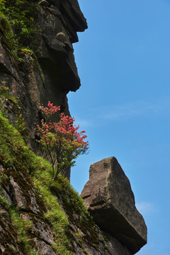 江西武功山