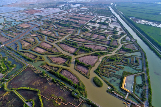 航拍洪泽湖湿地公园自然景观