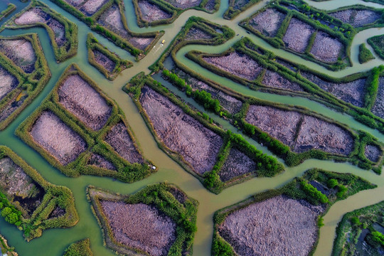 航拍洪泽湖湿地公园自然景观