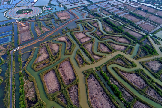 航拍洪泽湖湿地公园自然景观