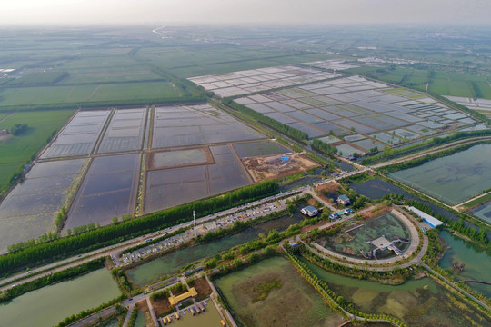 航拍洪泽湖湿地公园自然景观