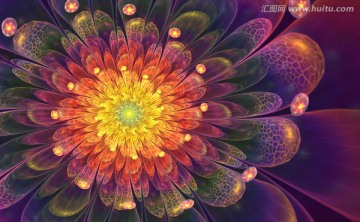 花紋圖案