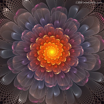 花紋圖案