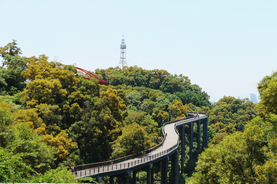 金鸡山公园