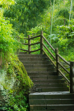 山间小路