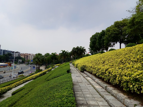 绿道绿化 植物墙 石头路石头墙