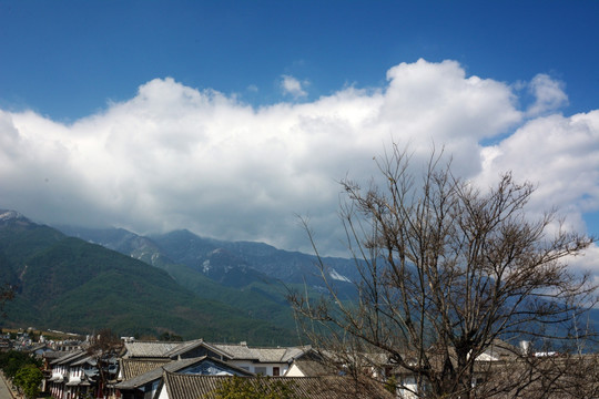 自然风景 蓝天白云 老树枯枝