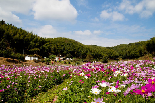 花间堂