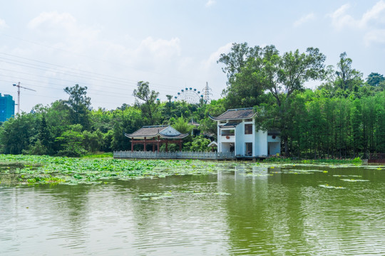 南宁狮山公园亲水平台