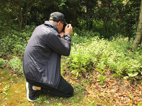 上海 闻道园 园林 植物 户外