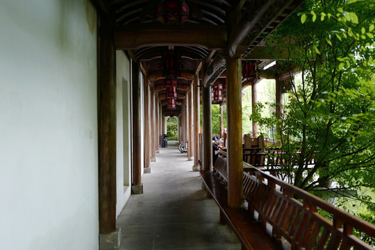 上海 闻道园 园林 中式建筑