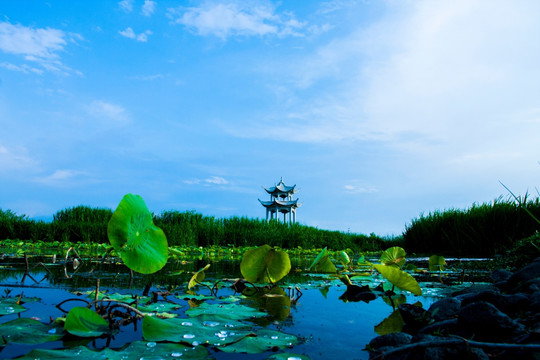 国家岐渭风景水利区净心亭