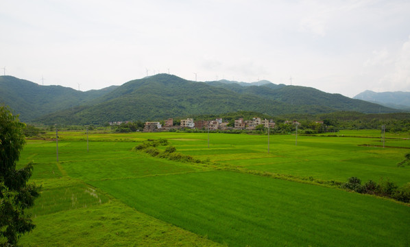 村庄 田野 乡村