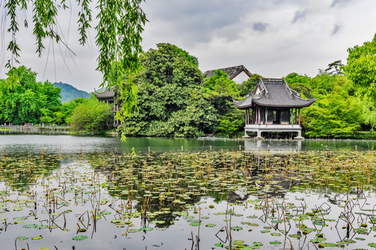 西湖 花港公园