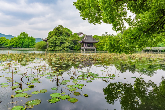 西湖 花港公园