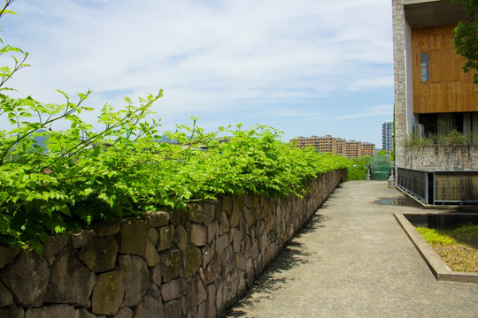 围墙 建筑 天空