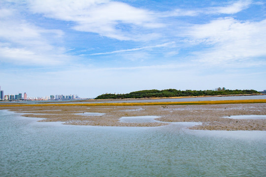 唐岛湾