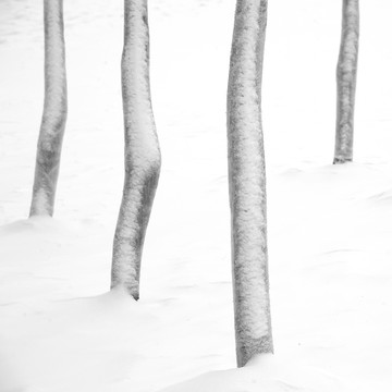 雪景