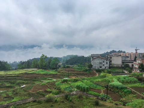 农村风光