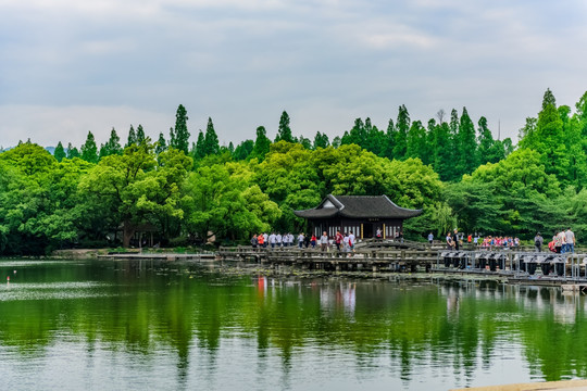 西湖 曲院风荷