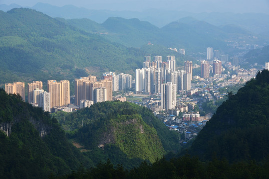 森林城市