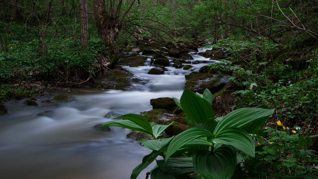 山间溪水