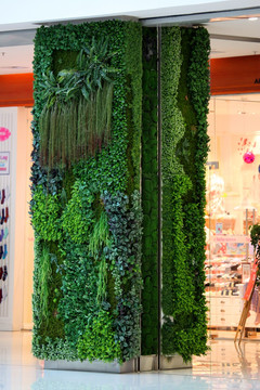 植物柱子 装饰 商场装饰