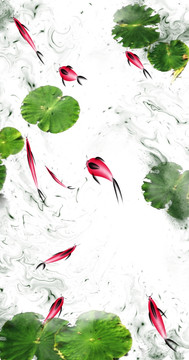荷花九魚圖 合層